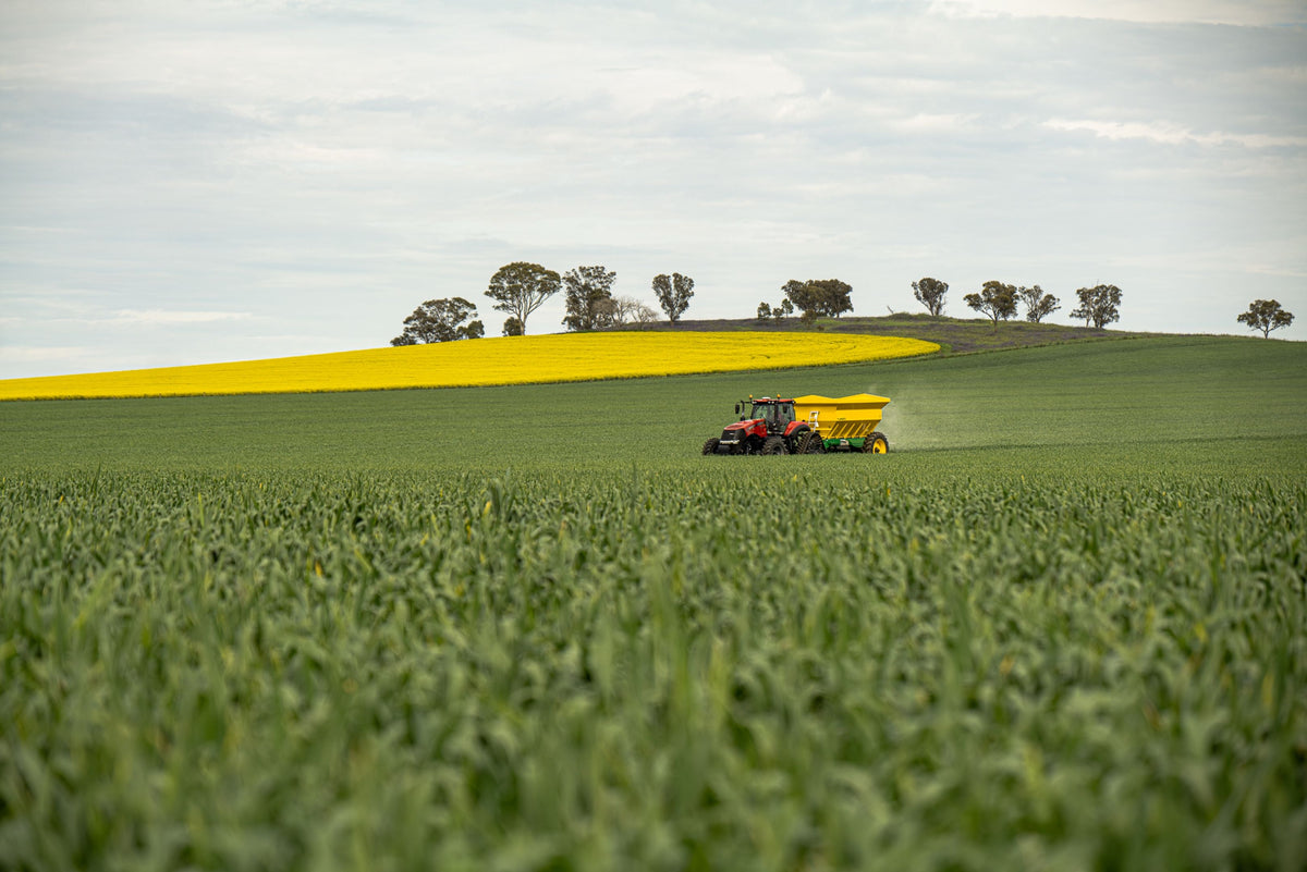 Agriculture & stations